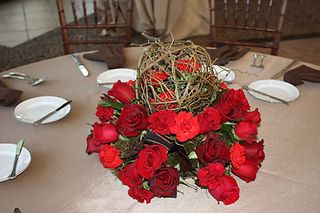Whitehall, Red Roses, Celebrations by Cara, Joylyn Hannahs Photography, Loudoun Weddings