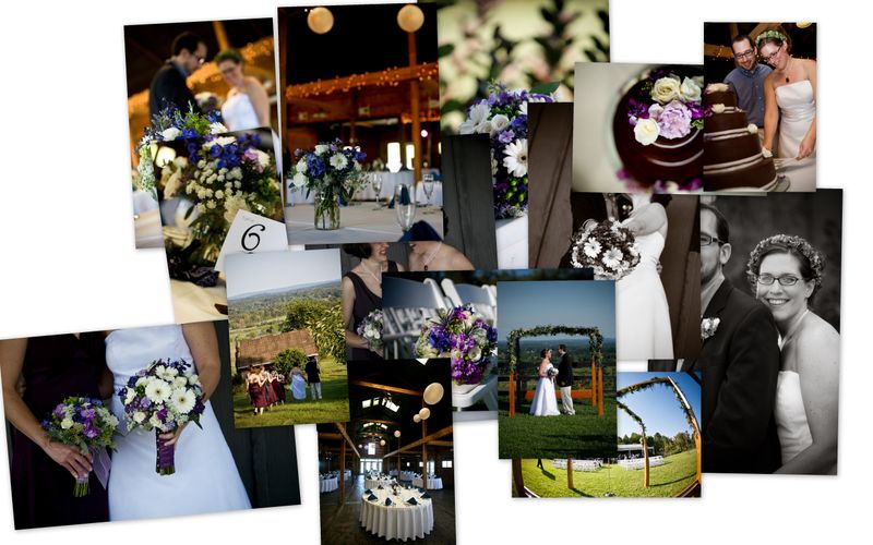 The Stables at Foggy Bottom, Bluemont Vineyard, Belle Notte, Sarah Hodzic Photography, Holly Heider Chapple Flowers