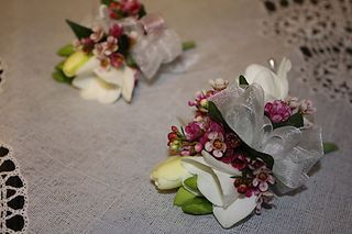 white freesia, wax flower