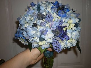 engaged magazine, blue hydrangea, blue delphinium, blue muscari, blue eryngium, thistle.