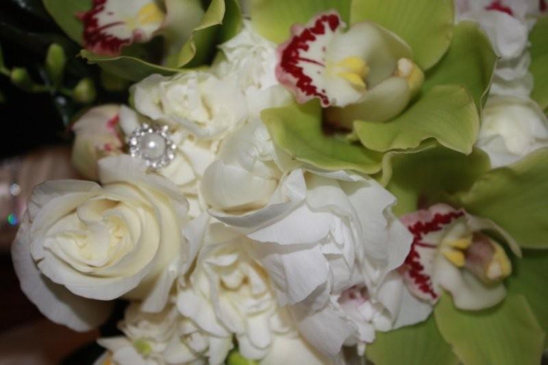 cymbidium orchid, rose