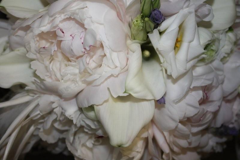 peonies, calla lilies, lisianthus