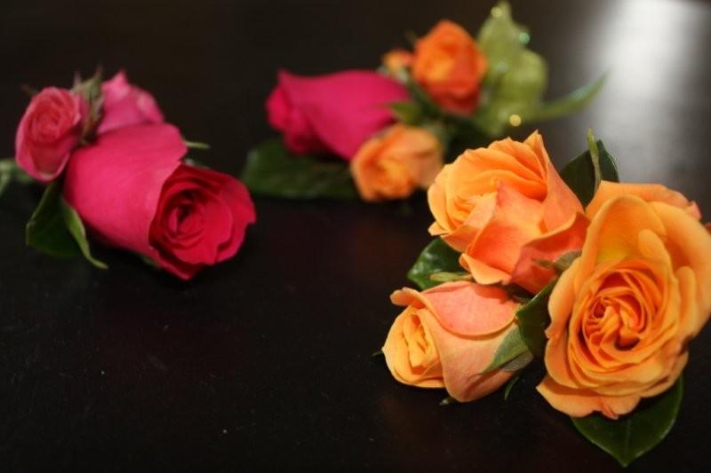 roses