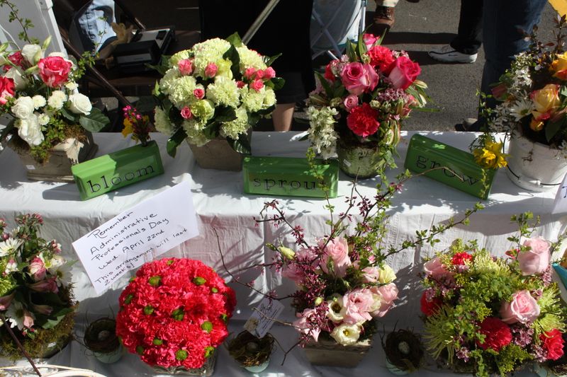 carnations, roses, leesburg flower and garden show