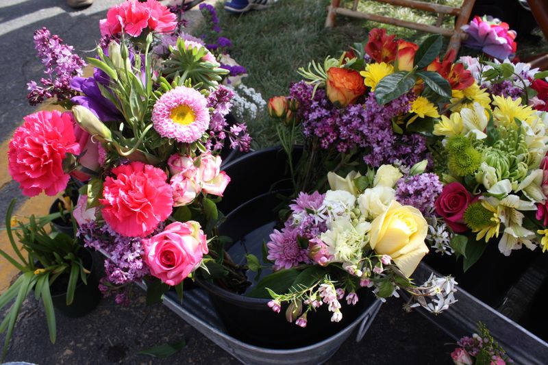 carnations, roses, leesburg flower and garden show, lilac