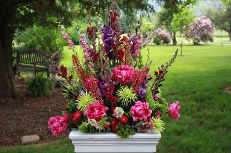 peonies, gladiola, mums