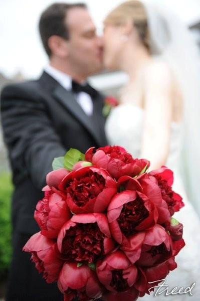 Freed Photography, Peonies