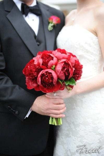 Freed Photography, Peonies