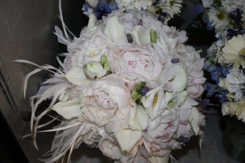 peonies, calla lilies