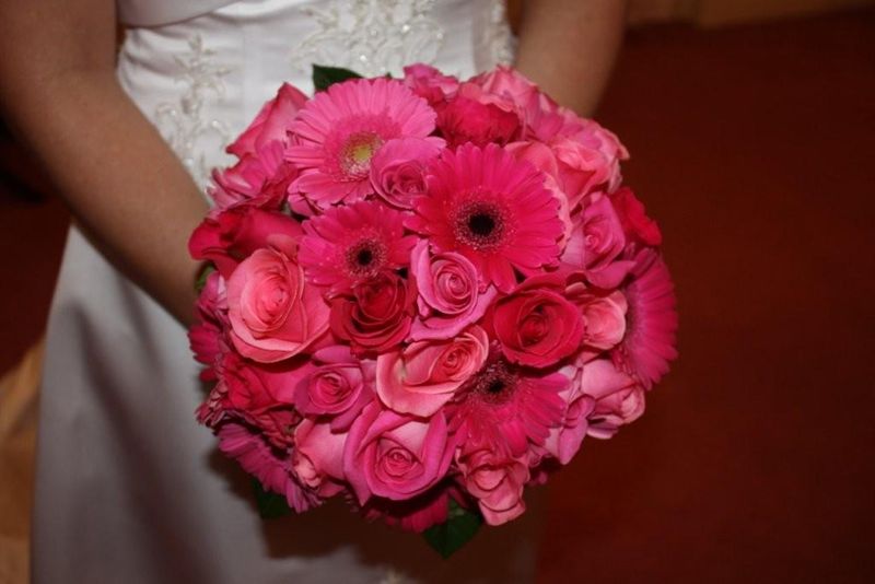 gerber daisies, roses