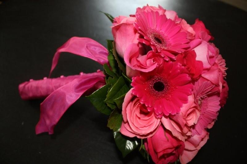 gerber daisies, roses