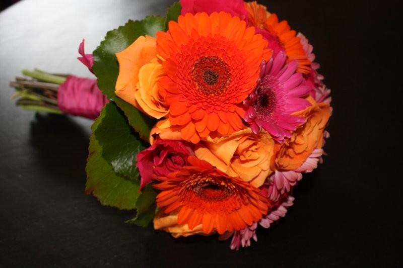 gerber daisies, roses