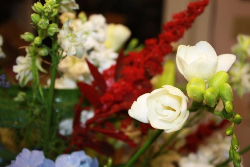 Hydrangea, Blue Delphinium, Stock, Willow Spirea, In the Garden, Freesia