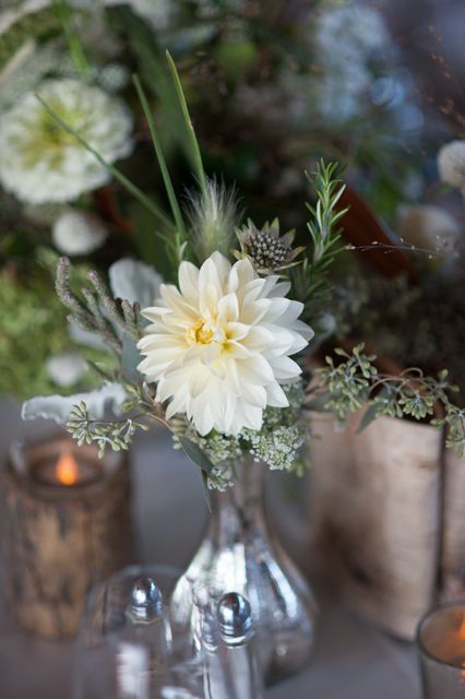 white wedding flowers, rustic wedding flowers, holly heider chapple flowers, marriott ranch