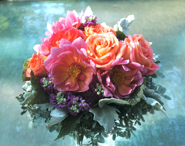 Wedding bouquet by designer Sylvia Clavier, Dream Weavers Flowers - Covington, Louisiana, with coral dahlias, purple stock, orange roses, dusty miller, begonia and acacia foliage