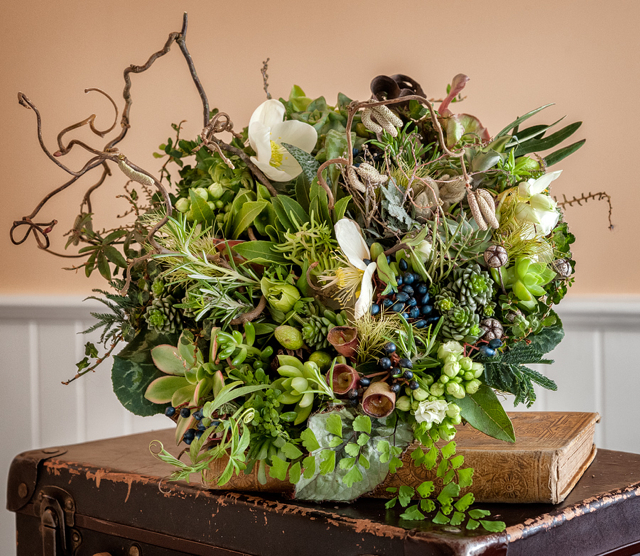 Woodland bridal bouquet by Francoise Weeks - Portland Oregon, with contorted filbert, succulents, hellebores, maidenhair fern, viburnum, cyclamen, and sweet pea tendrils